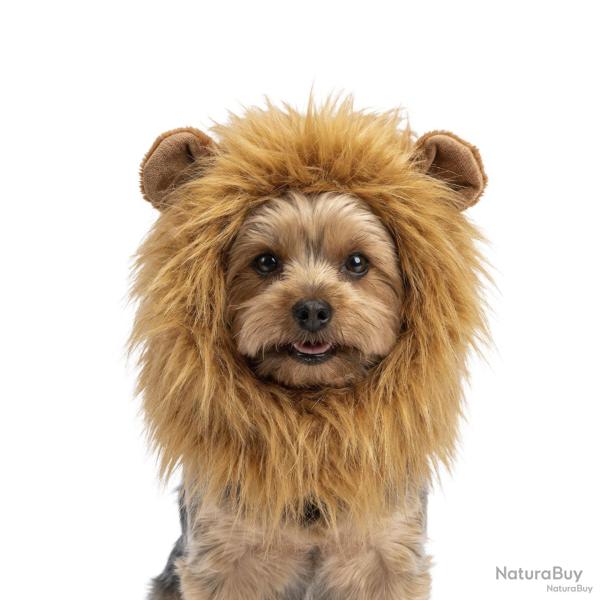 Oranje WK Manen Tooi - Ref ORAN0011S - EAN 8716759660847 - Hofman Animal Care