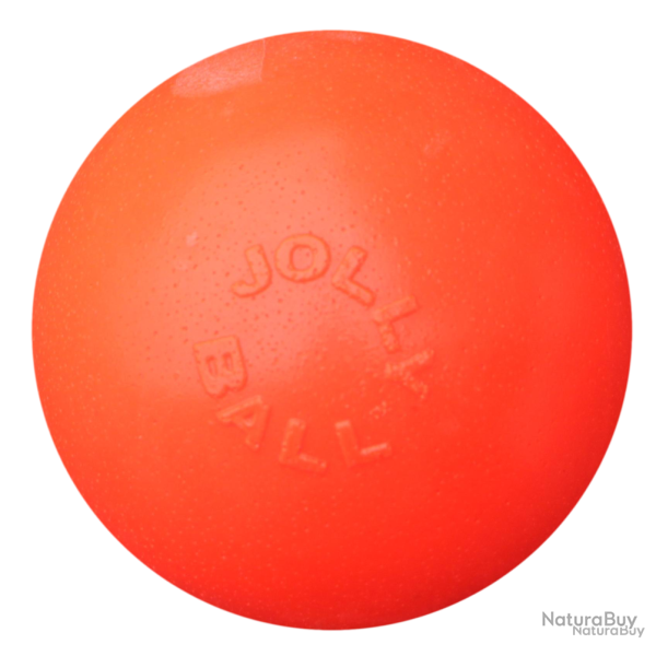 Jolly Bounce-n Play - Ref JOLL068K - EAN 0788169250862 - Jolly Pets