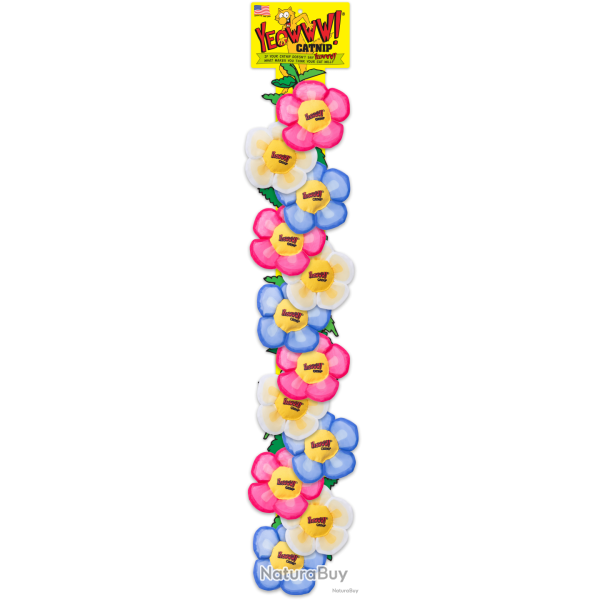 Yeowww! Display Strip Daisy's Flower Top - Ref YEOW066D - EAN 0812402001246 - Livraison rapide