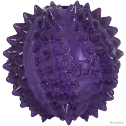 JW Puppy - Bristl-ee Cactus Ball - Ref JW60636 - EAN 0029695606366 - Livraison rapide
