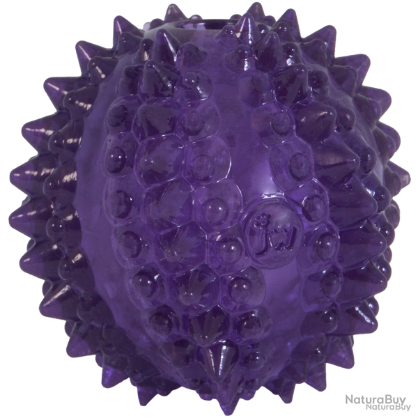 JW Puppy - Bristl-ee Cactus Ball - Ref JW60636 - EAN 0029695606366 - Livraison rapide