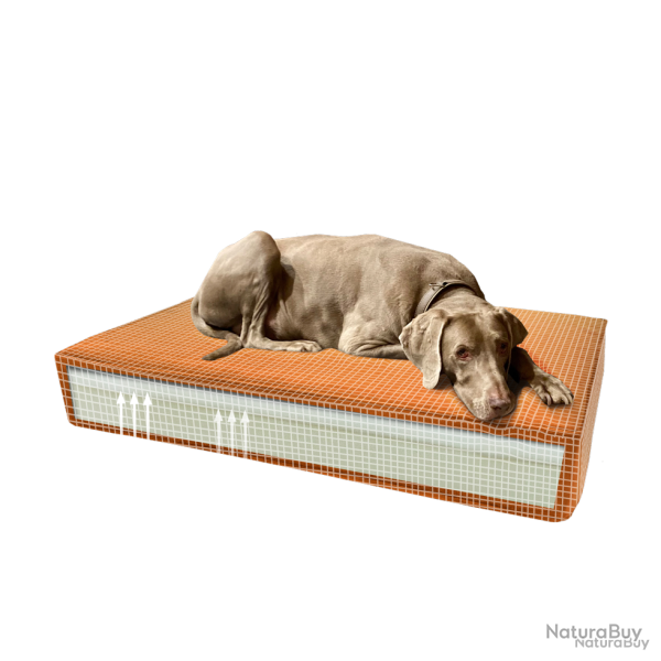 Madison Orthopedic Cushion Velvet - Ref MADI0901 - EAN 8713229054106 - Livraison rapide