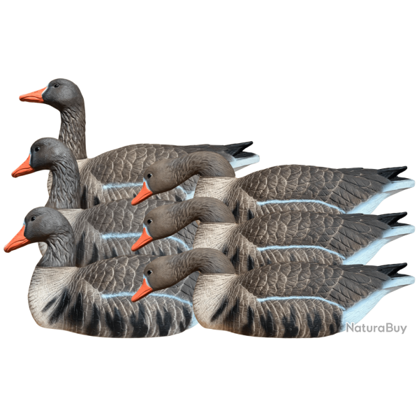 Pack 6 oies rieuses HD flottantes actives XTREM MIGRATEURS