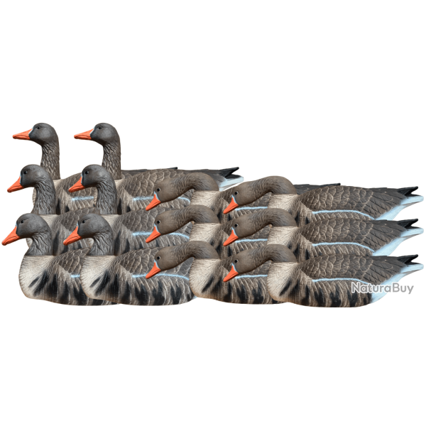 Pack 12 oies rieuses HD flottantes actives XTREM MIGRATEURS