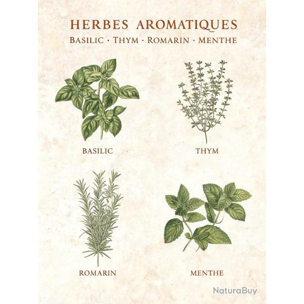 affiche 30x40cm herbes aromatiques