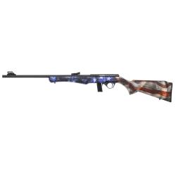 ROSSI 8122 CAL.22 LR USA - SYNTH&Eacute;TIQUE USA - FILET&Eacute;E - neuf - D&Eacute;STOCKAGE professional