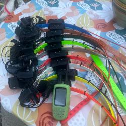 Garmin Astro 320+ 9Dc40