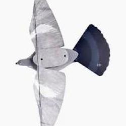 Appelant PIGEON step-flap STEPLAND