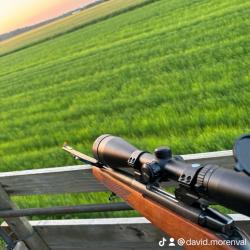 Carabine 7x64