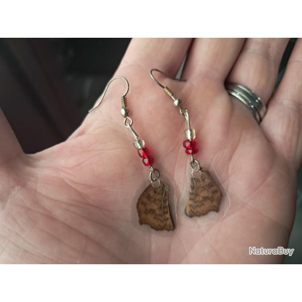 Paire de boucles d'oreilles de vraies ailes de papillon #9