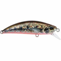 Poisson Nageur DUO Spearhead Ryuki 50F Spawn Goujon ACC4061