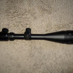 Lunette bushnell 6-24x50