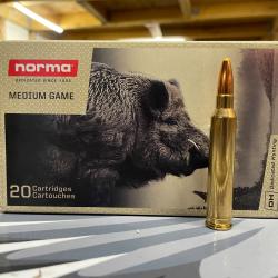 Norma pointe plastique 300 Win Mag 180 grains
