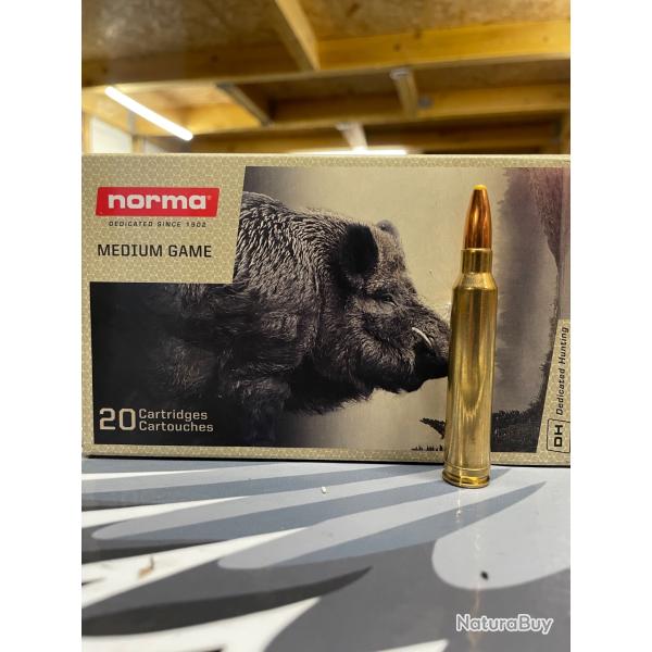 Norma pointe plastique 300 Win Mag 180 grains