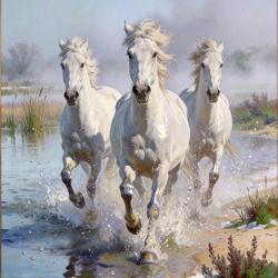 Affiche 30x40cm chevaux