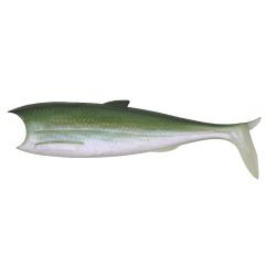 Leurre Souple Sakura Breizh Shad 82 8,2cm Par 3 226 - Emerald Shiner