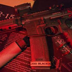 Lot DDM4 PDW Cal.300 Blackout, Ase Utra SL8I-BL, Holosun 503R et chargeurs