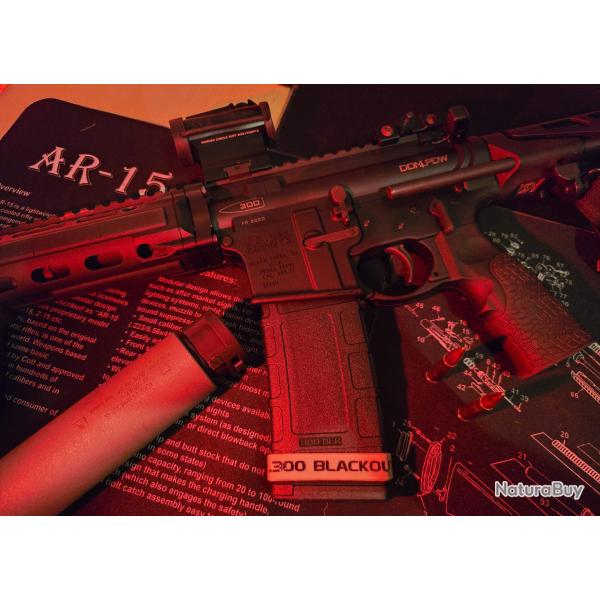 Lot DDM4 PDW Cal.300 Blackout, Ase Utra SL8I-BL, Holosun 503R et chargeurs