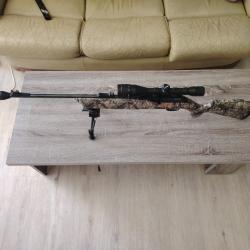 Carabine air comprim&eacute;