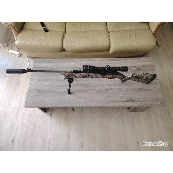 Carabine air comprim�