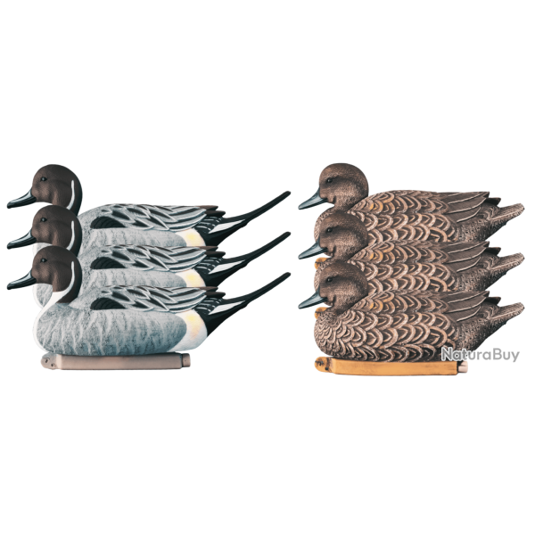 Pack 6 pilets HD flottants XTREM MIGRATEURS