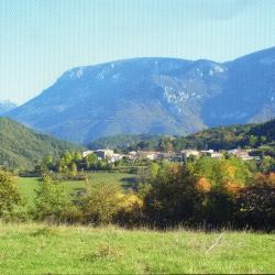 Cerf, chasse approche Pyr&eacute;n&eacute;es