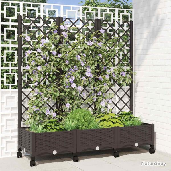 Bac de jardin avec treillis et roues Marron 120 x 40 x 131,5 cm