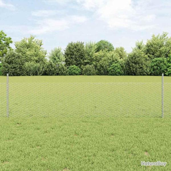 Cl�ture hexagonale avec poteau 10 x 0,5 m Acier galvanis�