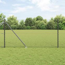 Cl&ocirc;ture hexagonale avec poteau 100 x 1 m Acier recouvert de PVC