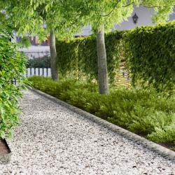 Bordure de Pelouse 50 pcs 100 x 15 cm Acier Argent&eacute;