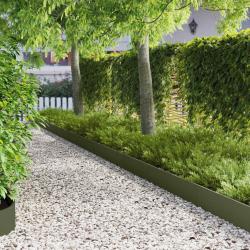 Bordure de Pelouse 10 pcs 103 x 20 cm Acier Vert olive