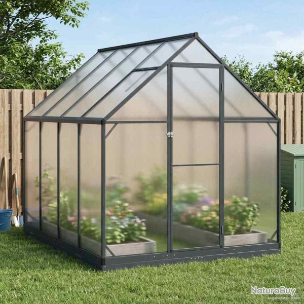 Serre de jardin avec porte Anthracite 183,5 x 243,5 x 207 cm