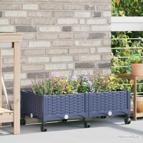 Jardini�re avec Roues Gris Bleu 80 x 40 x 33 cm PP