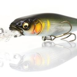 Live X revenge megabass live-x revenge takumi seochi ayu
