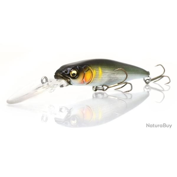 Live X revenge megabass live-x revenge takumi seochi ayu