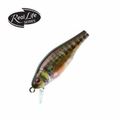 Chopsy Minnow 50 sp sakura chopsy minnow 50 sp 4.5g rl07 real life vairon