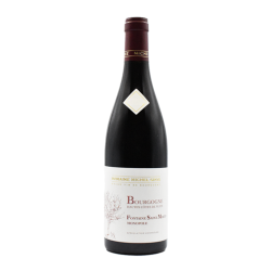 Magnum Haute C&ocirc;tes de Nuits Monopole Rouge  "Fontaine Saint Martin" 2022 - Michel Gros  150cl