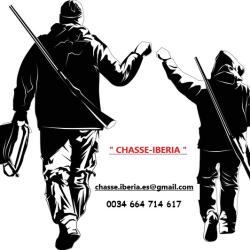 Chasse aux perdrix rouges, devant soi au chien d&acute;arr&ecirc;t, en Catalogne / Espagne.
