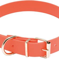Collier Biothane Orange 60cm