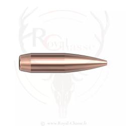 600 ogives Cal.22 D.224 75Grs BTHP MATCH HORNADY