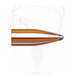 100 ogives Cal.22 D.224 55Grs SP SX HORNADY