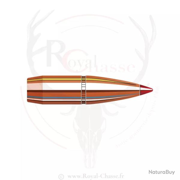 100 ogives Cal.30 D.308 180Grs SST HORNADY