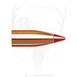 100 ogives Cal.20 D.204 32Grs V-MAX HORNADY