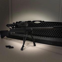 Pack carabine 22lr cz 455