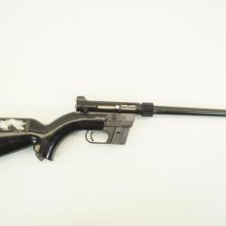 pistolet carabine ar7 explorer 22lr
