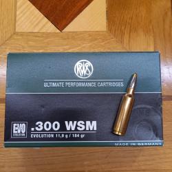 300WSM RWS EVO 11.9G / 184GR