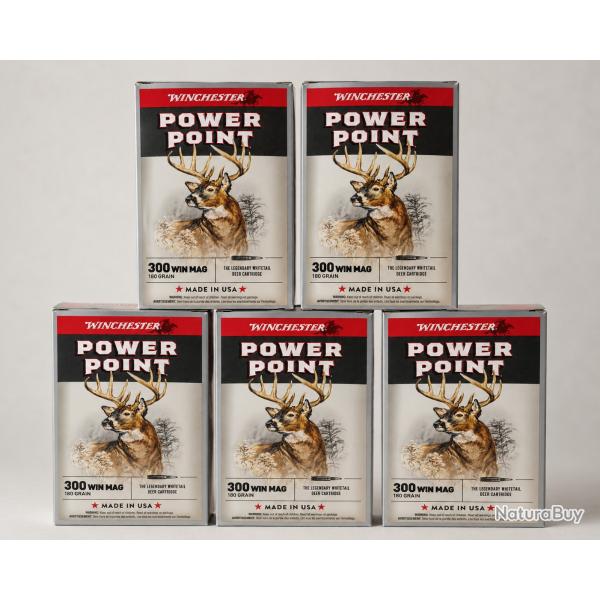 100 munitions 300 winchester Magnum PowerPoint 180 grains