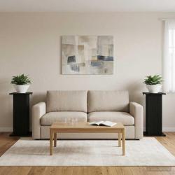Support de Plante 2 pcs Noir 30,5 x 30 x 60,5 cm