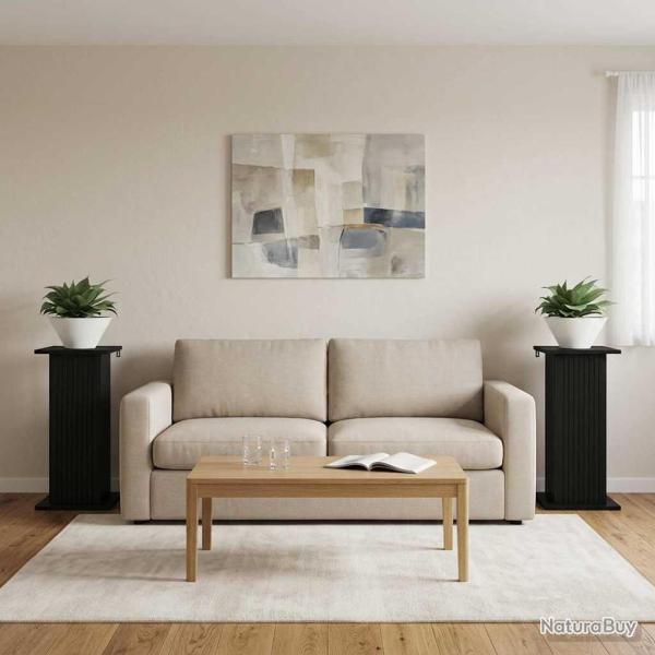 Support de Plante 2 pcs Noir 30,5 x 30 x 60,5 cm