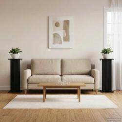 Support de Plante 2 pcs Noir 30,5 x 30 x 80,5 cm